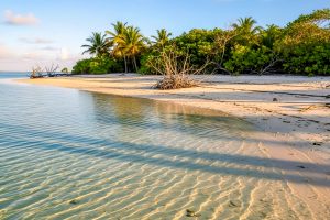 tropical-beach-paradise